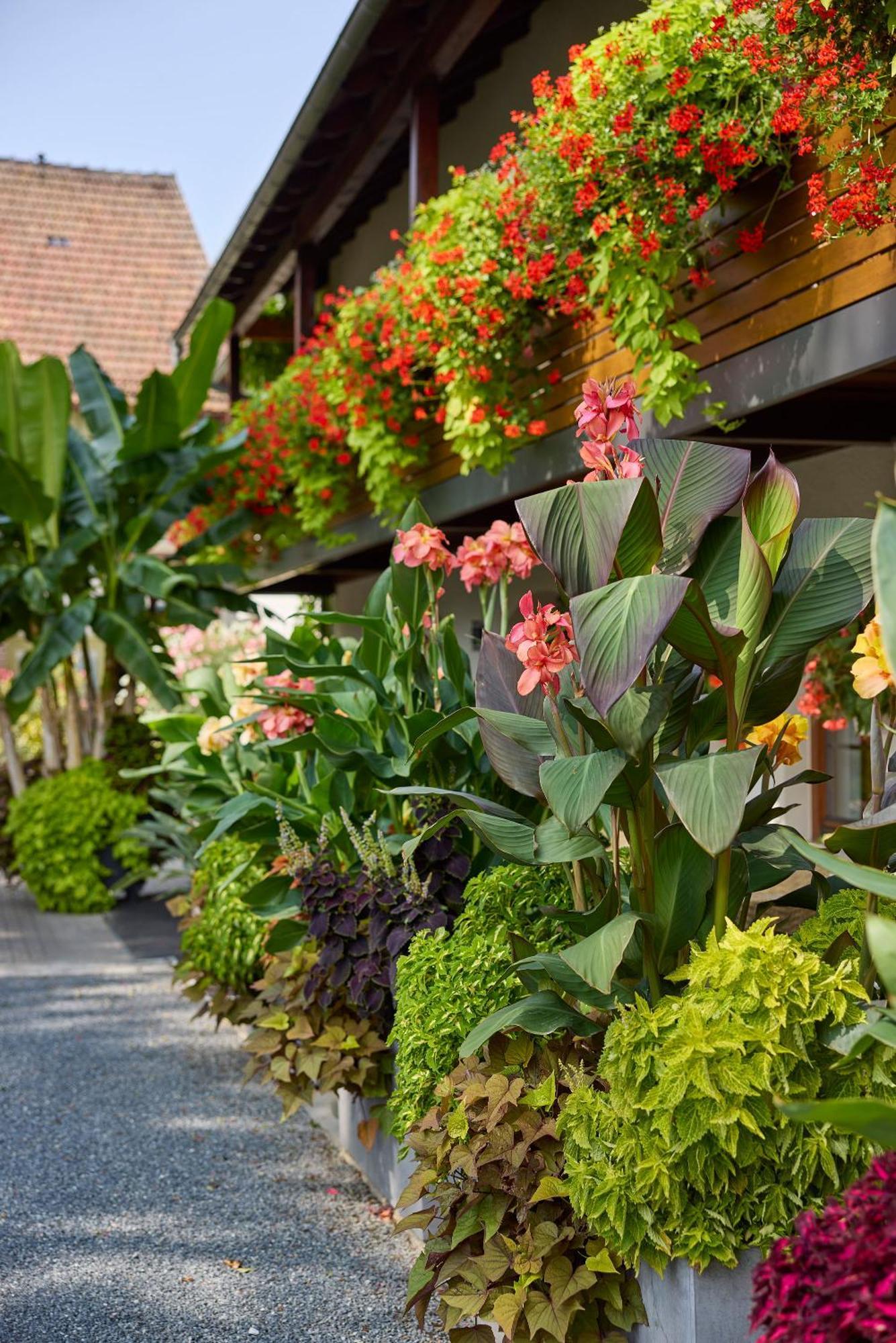 Hotel Garni Sonnenhof Reichenberg  Exterior photo